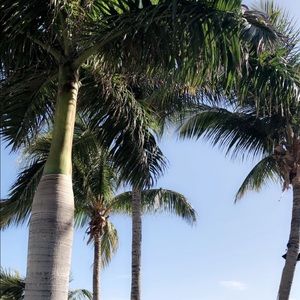 Meet your Posher, Mia